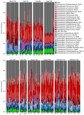 Bacterial Community Composition of Throughfall and Stemflow